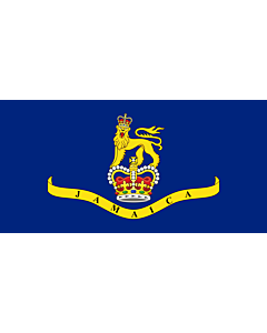 Flag: Governor-General of Jamaica |  landscape flag | 2.16m² | 23sqft | 100x200cm | 40x80inch 