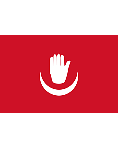 Bandera: Anjouan |  bandera paisaje | 0.7m² | 70x100cm 