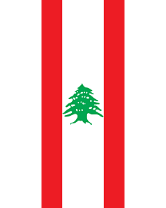 Bandera: Bandera vertical con manga cerrada para potencia Líbano |  bandera vertical | 3.5m² | 300x120cm 