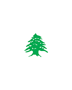 Flagge: Large Cedar | Lebanon after the fall of the Ottoman empire  |  Querformat Fahne | 1.35m² | 90x150cm 