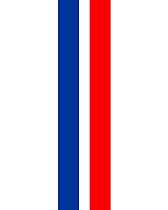 Drapeau: Schaan |  portrait flag | 6.7m² | 200x335cm 