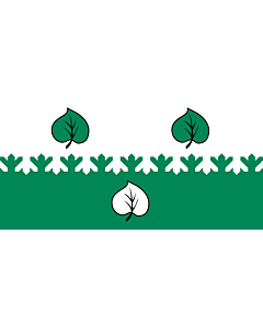 Flagge: Large Aloja | City of Aloja, Latvia | Alojas  |  Querformat Fahne | 1.35m² | 80x160cm 