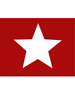 Bandera: Mm army 4 |  bandera paisaje | 2.16m² | 130x170cm 