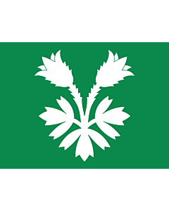 Flagge: XXS Oppland  |  Querformat Fahne | 0.24m² | 40x55cm 