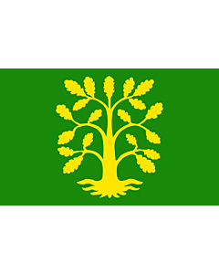 Drapeau: comté de Vest-Agder |  drapeau paysage | 0.24m² | 40x60cm 