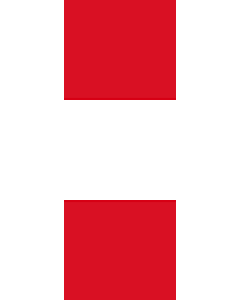 Bandera: Bandera vertical con manga cerrada para potencia Perú |  bandera vertical | 6m² | 400x150cm 