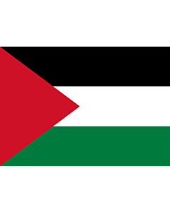 Drapeau: Palestine |  drapeau paysage | 0.7m² | 70x100cm 