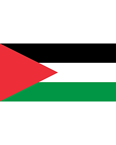 Flagge: XL Palestine - long triangle | A variant of the flag of Palestine used in some period of its history  |  Querformat Fahne | 2.16m² | 100x200cm 