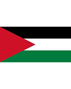 Bandera: Palestine - long triangle | A variant of the flag of Palestine used in some period of its history |  bandera paisaje | 1.35m² | 80x160cm 