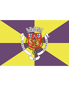 Flag: Coimbra District |  landscape flag | 0.24m² | 2.5sqft | 40x60cm | 1.3x2foot 