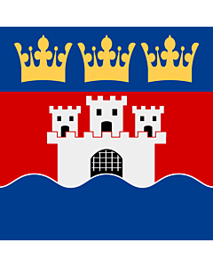 Flag: Jönköping County |  1.35m² | 14.5sqft | 120x120cm | 45x45inch 