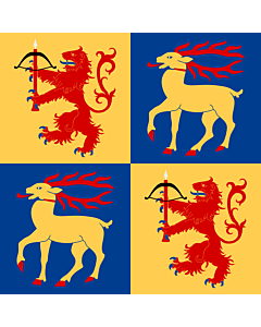 Flag: Kalmar County |  0.24m² | 2.5sqft | 50x50cm | 20x20inch 