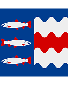 Bandera: Provincia de Västernorrland |  0.24m² | 50x50cm 