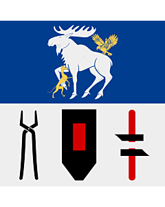 Flagge: XXS Jämtland  |  Fahne 0.24m² | 50x50cm 