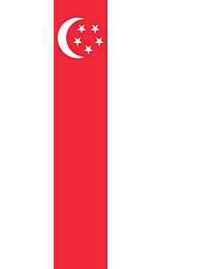 Bandera: Bandera vertical con manga cerrada para potencia Singapur |  bandera vertical | 3.5m² | 300x120cm 