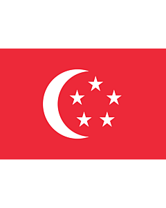 Flag: The standard used by the President of Singapore |  landscape flag | 1.35m² | 14.5sqft | 90x150cm | 3x5ft 