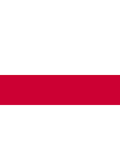 Flag: Former flag of the city municipality of Kranj |  landscape flag | 2.16m² | 23sqft | 100x200cm | 40x80inch 