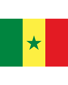 Flagge: Small Senegal  |  Querformat Fahne | 0.7m² | 70x100cm 