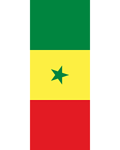 Bandera: Bandera vertical con potencia Senegal |  bandera vertical | 3.5m² | 300x120cm 