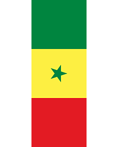 Vertical Hanging Beam Flag: Senegal |  portrait flag | 6m² | 64sqft | 400x150cm | 13x5ft 
