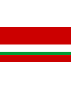 Flag: Tajik Soviet Socialist Republic  reverse |  landscape flag | 1.35m² | 14.5sqft | 80x160cm | 30x60inch 
