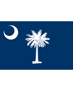 Bandiera: Carolina del Sud |  bandiera paesaggio | 0.24m² | 40x60cm 