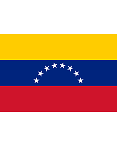 Bandera de Interior para protocolo: Venezuela 90x150cm