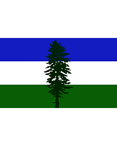 Flag: Cascadia | Cascadia, based on en Image Cascadian flag |  landscape flag | 0.375m² | 4sqft | 50x75cm | 1.5x2.5ft 