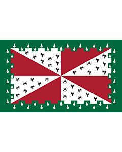 Flag: Loudoun County, Virginia |  landscape flag | 1.35m² | 14.5sqft | 90x150cm | 3x5ft 